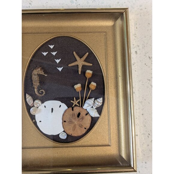 Sand Dollar Nautical Shell Art Betty Shepard Shadow Box Frame Seahorse & Starfis - Picture 10 of 11